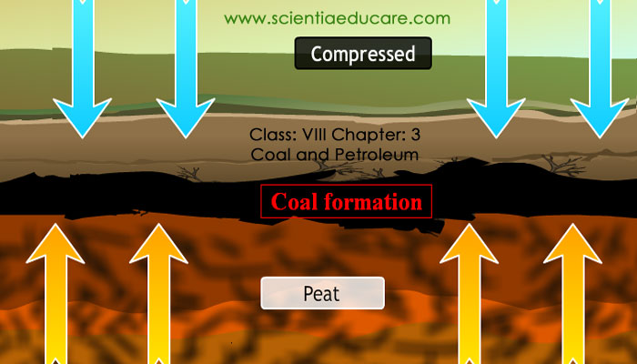 3-Coal-and-Petroleum