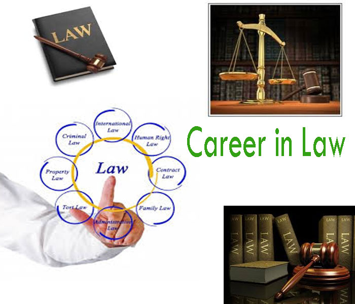 Career-in-Law