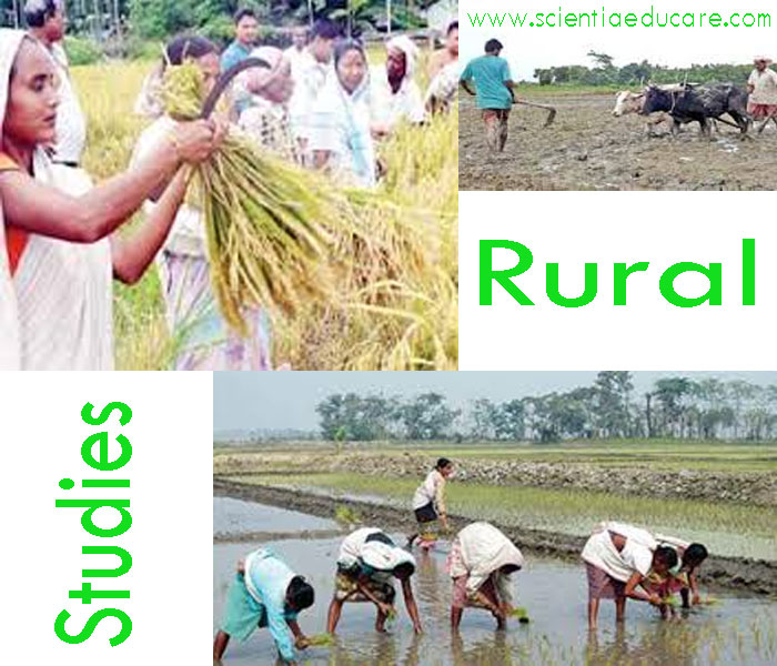 Rural-Studies2