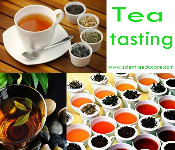 Tea tasting is the process in which a trained taster determines
