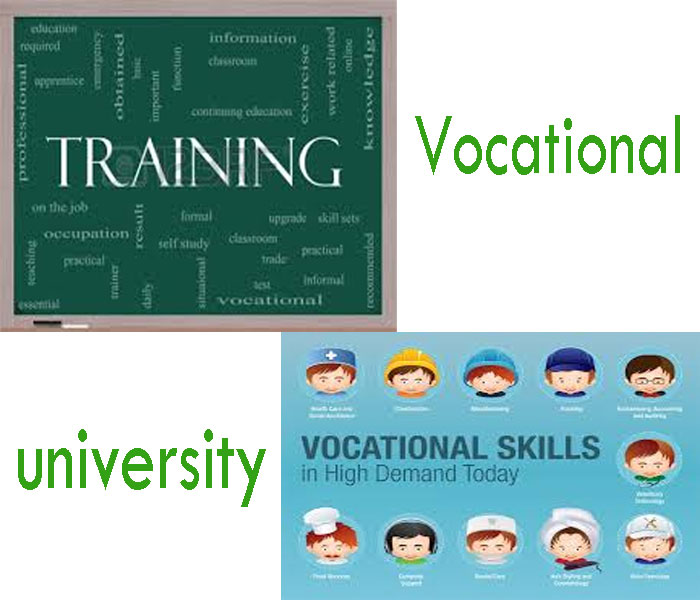 vocational-university