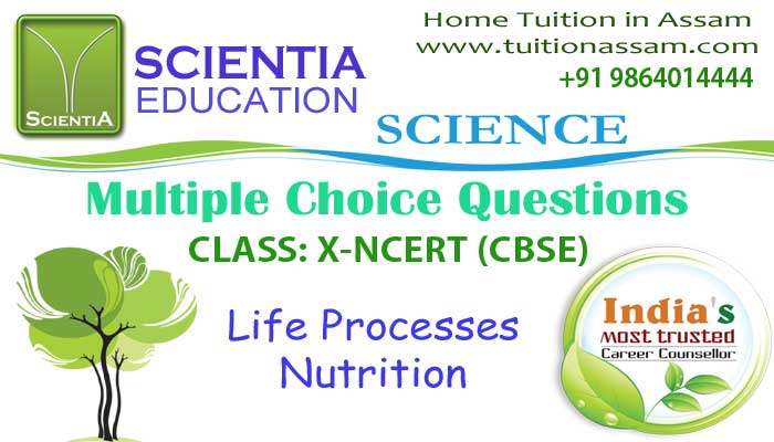 Life-Processes-Nutrition
