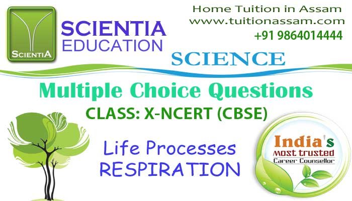 Life-Processes-RESPIRATION