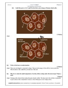 CHAPTER:1 CLASS: VIII Cell Structure and Functions - Knowledge and ...