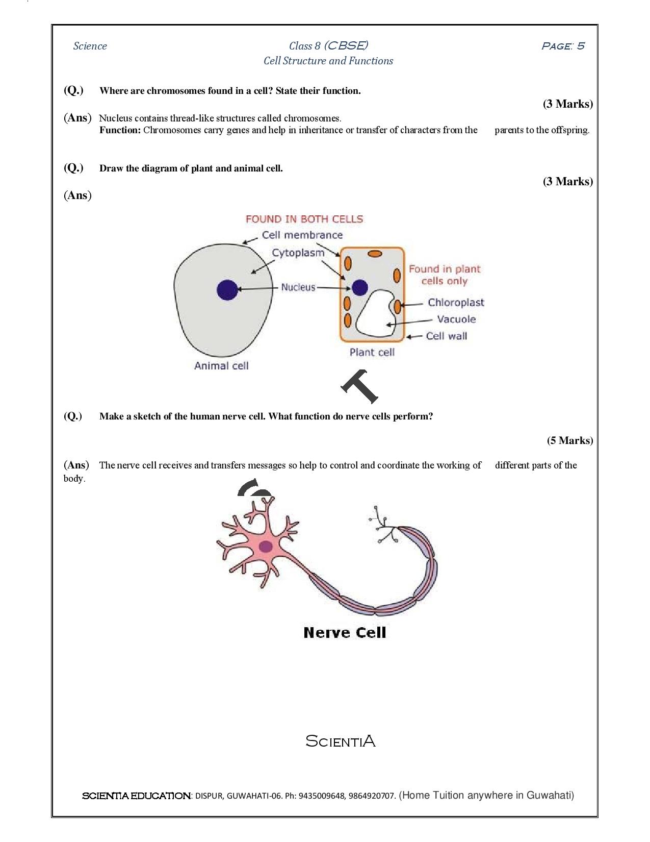 1 VIII Cell Structure and Functions-page-005