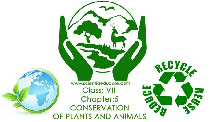 Class: VIII Chapter:5 CONSERVATION OF PLANTS AND ANIMALS - Educational Portal India Class: VIII Chapter:5 CONSERVATION OF PLANTS AND ANIMALS - Educational Portal India