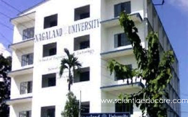 nagaland-university