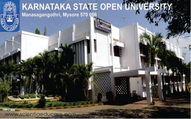 state-university-72